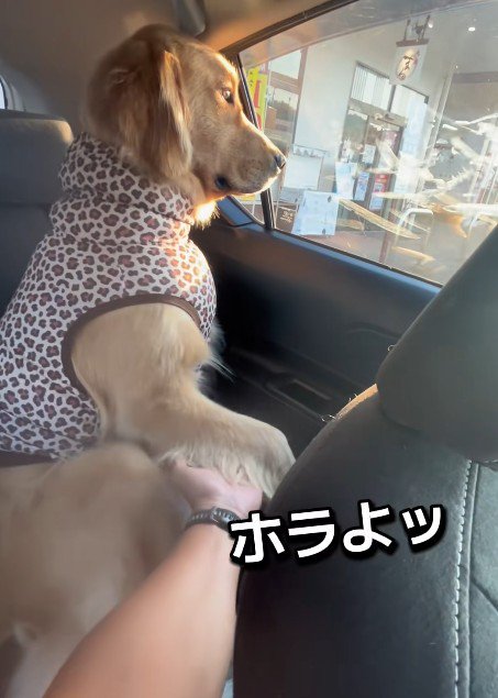 「ほらよ」