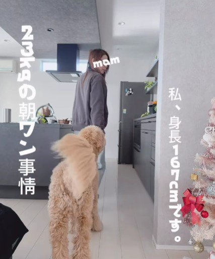 あぐらちゃんの朝の日課