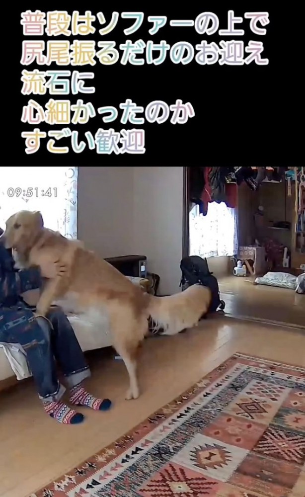 「待ってたよぉぉ」