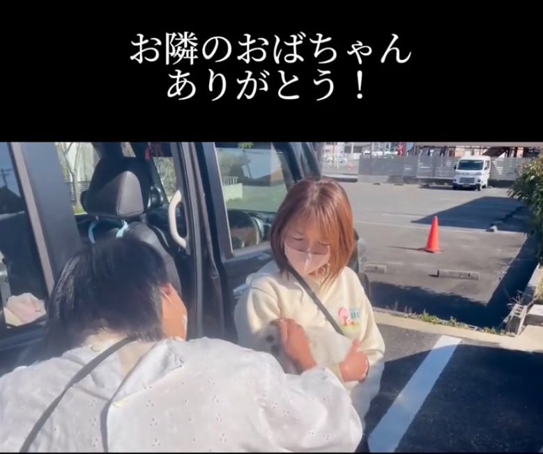 頭を撫でられる犬