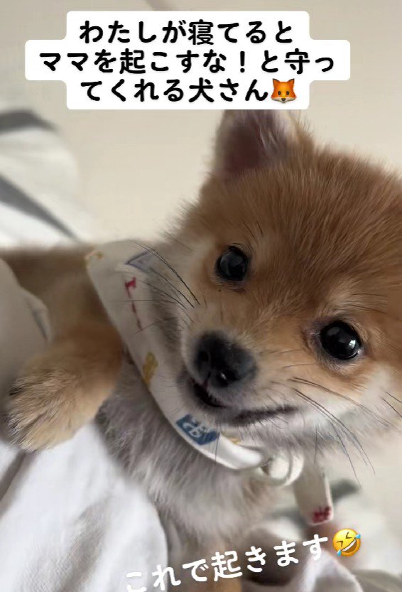必死に阻止する姿が愛おしい