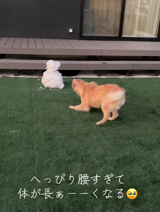 「勝手に庭に入って！！」