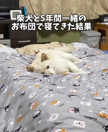 すでにはるちゃんが！