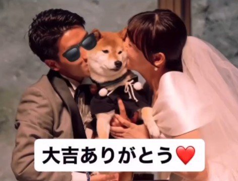 リングドッグに挑戦する大吉くん⑩