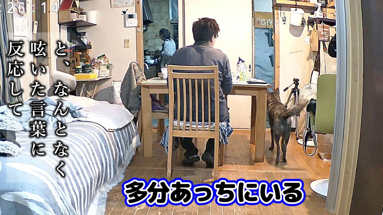 数ヶ月前、パパさんが「マメは？」と聞くと…
