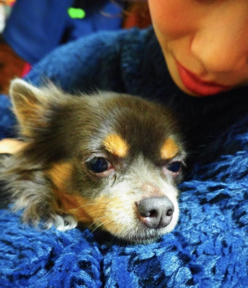 辛すぎる現実が