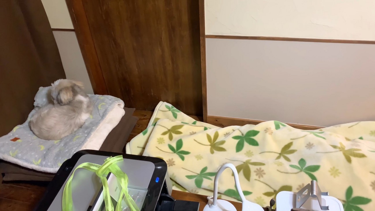 そのまま寝てくれるかと思いきや…