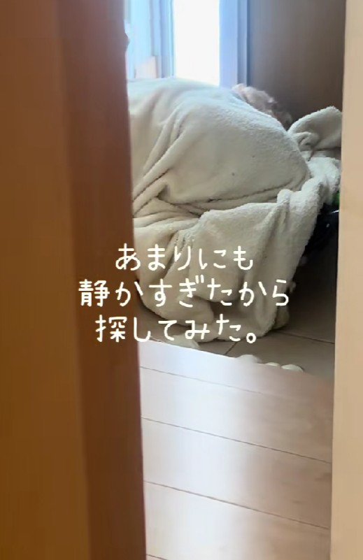 探してみたら…