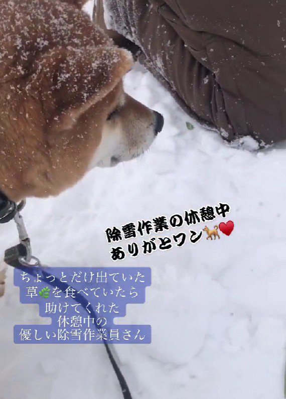 「ありがとわん…」