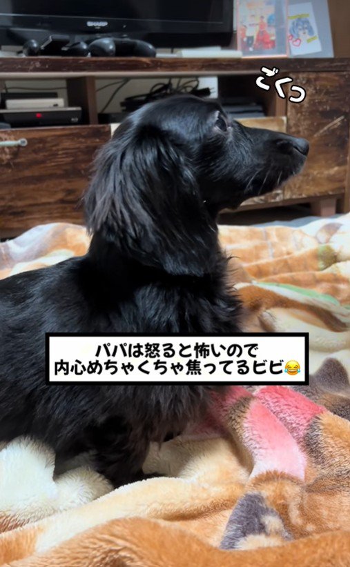 緊張感がすごい！