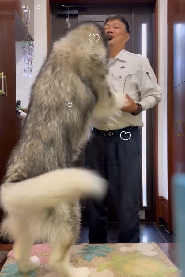 感動の再会のふたり