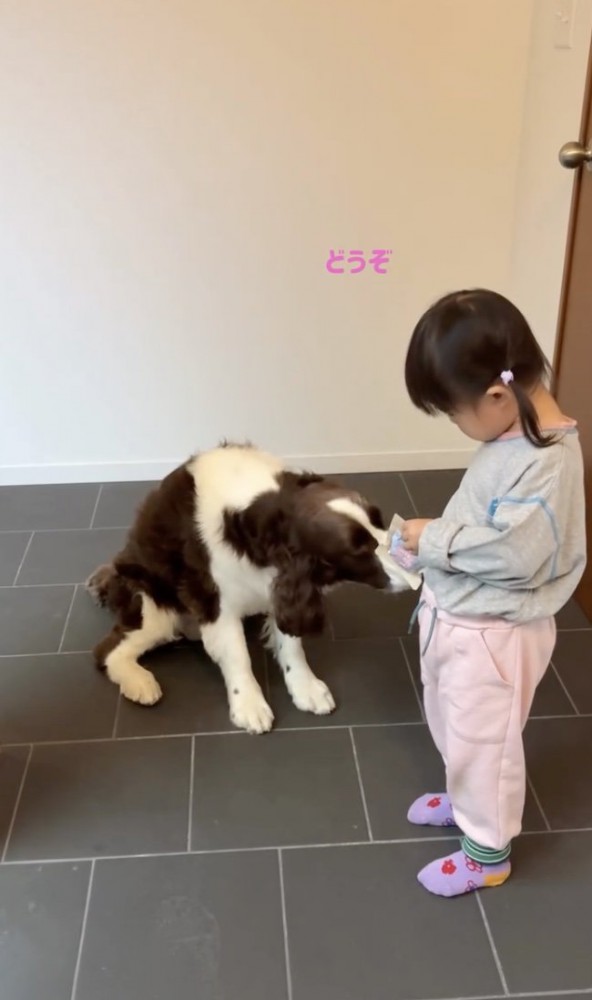 優しさが滲み出てます