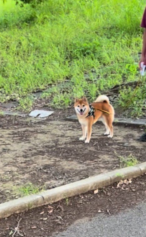 ドッキリに対する福ちゃんの反応5