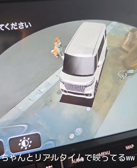 愛犬が映ってる！！