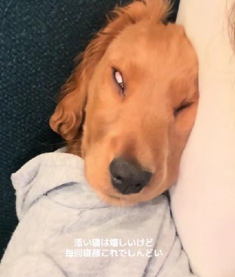 輪郭が縦に伸びてしまった