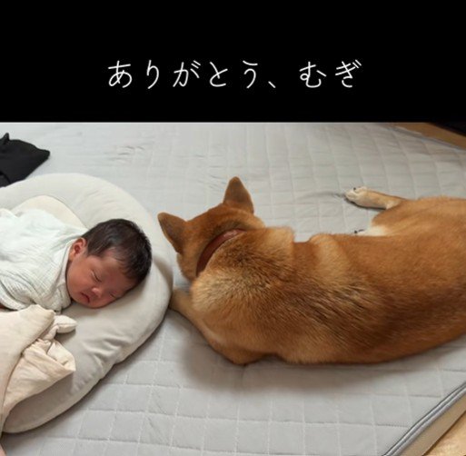 尊い光景にほっこり♡