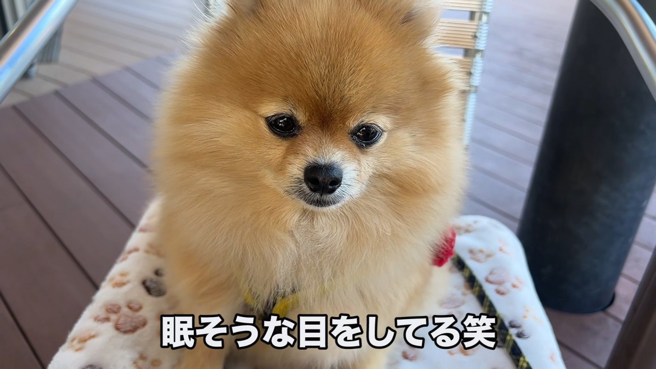 だんだん眠くなってきて…？