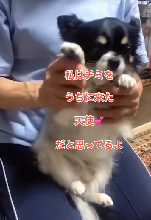 ちーちゃんとの出会い⑩