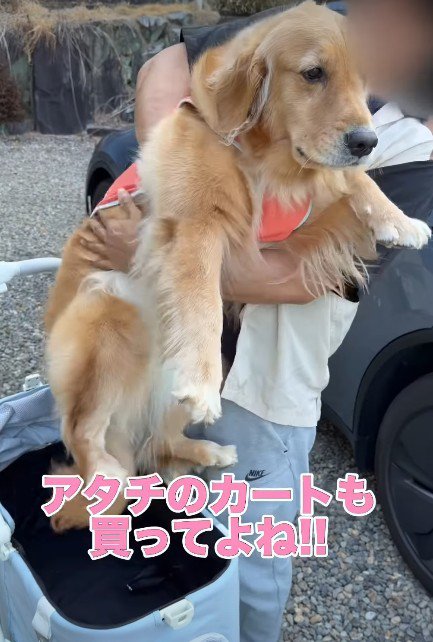 切ない表情にクスッ