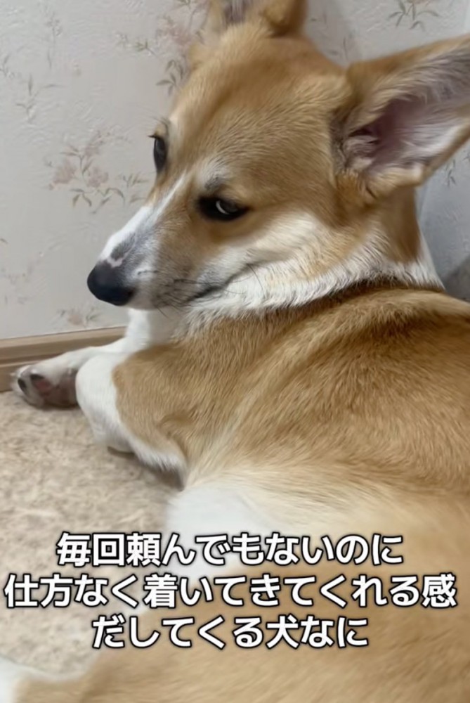 「仕方なしにだからね」