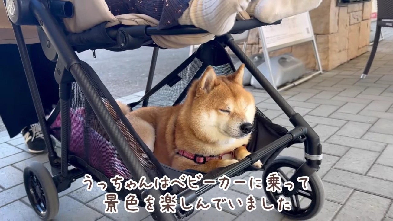 アウトレットでお買い物