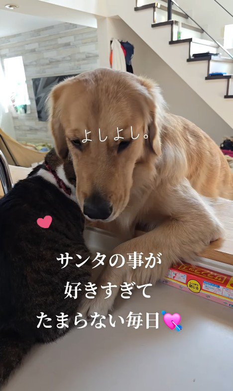 寄り添ってくれるサンタくん