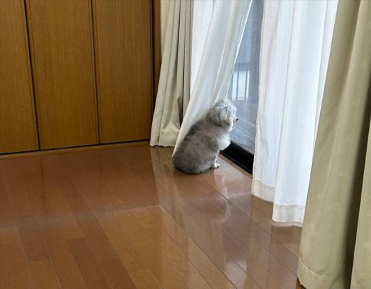 帰宅に気づかず