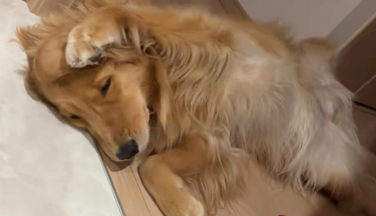 頭の後ろの方へと伸ばし…