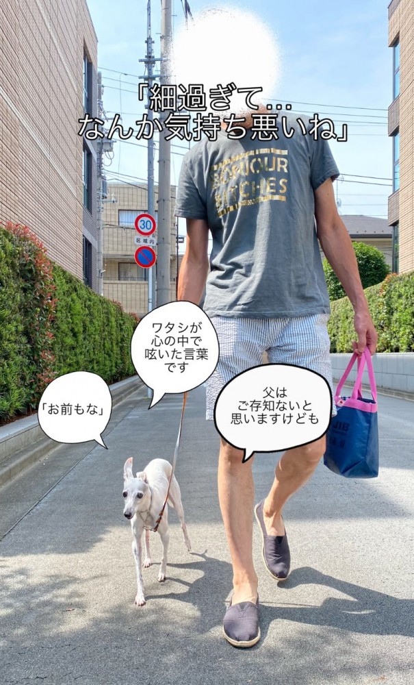 散歩するローマちゃん