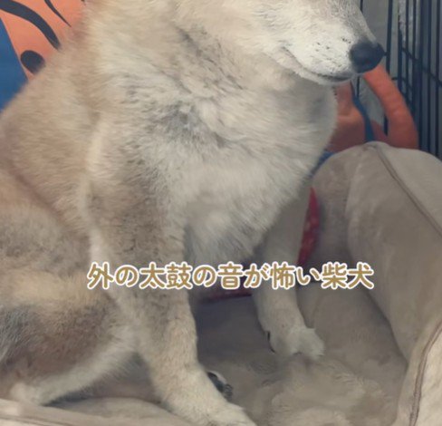 外から太鼓の音が聞こえたら…