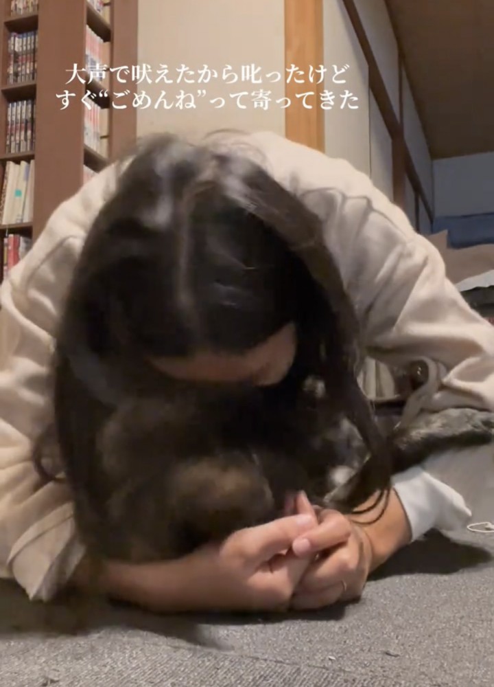 飼い主にぎゅっと抱きしめられる犬