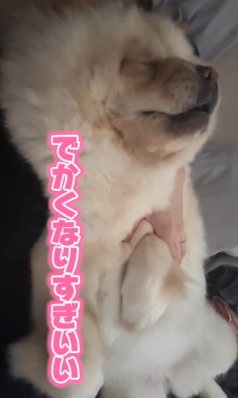 小梅ちゃんの成長4