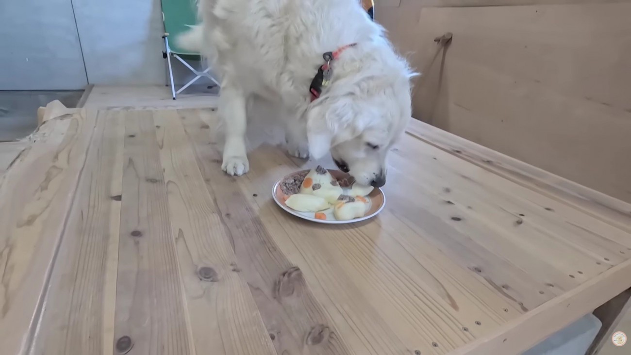 これからも元気でね！！