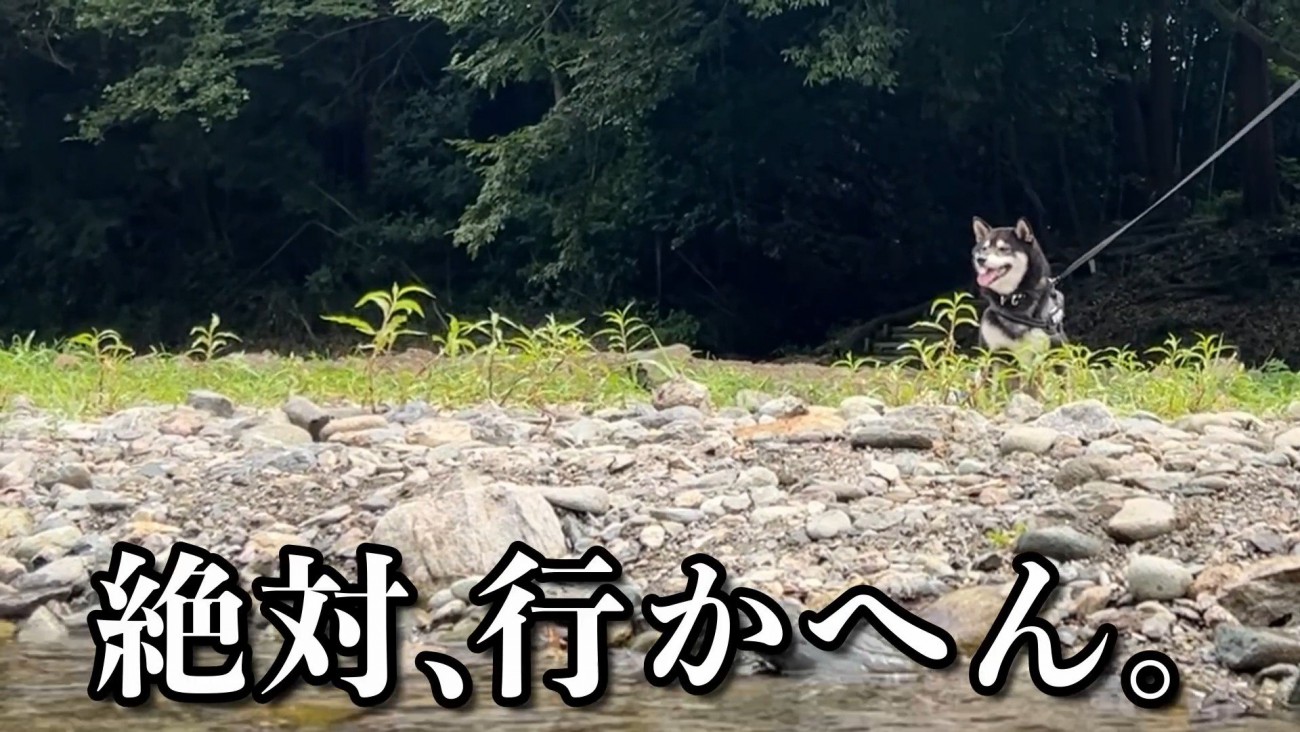川にやってきたすみすみちゃん