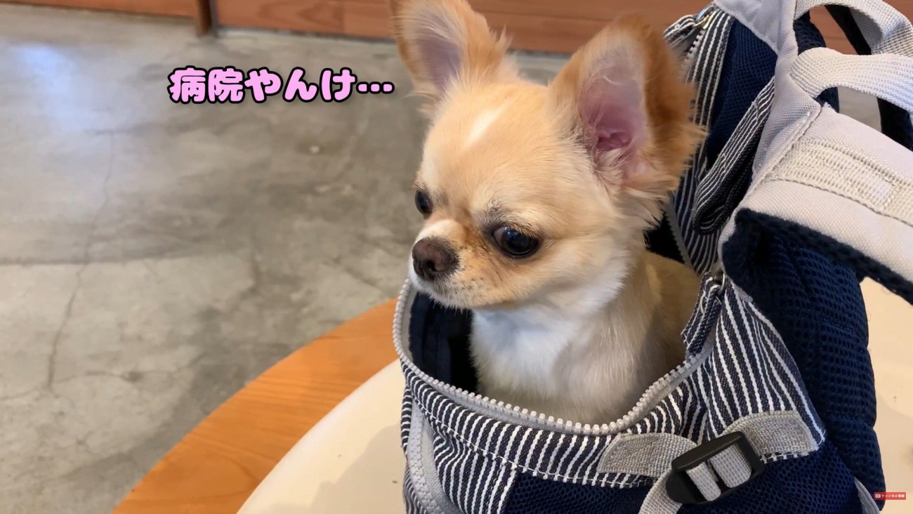 「ここ病院じゃん！騙された…」