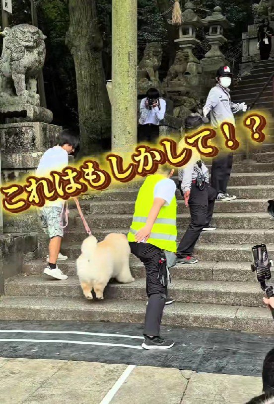 1位を獲れるか…！？