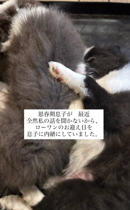 サプライズを実行！！