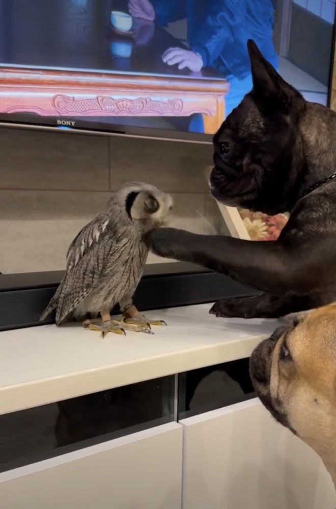 仲良くなりたい…！