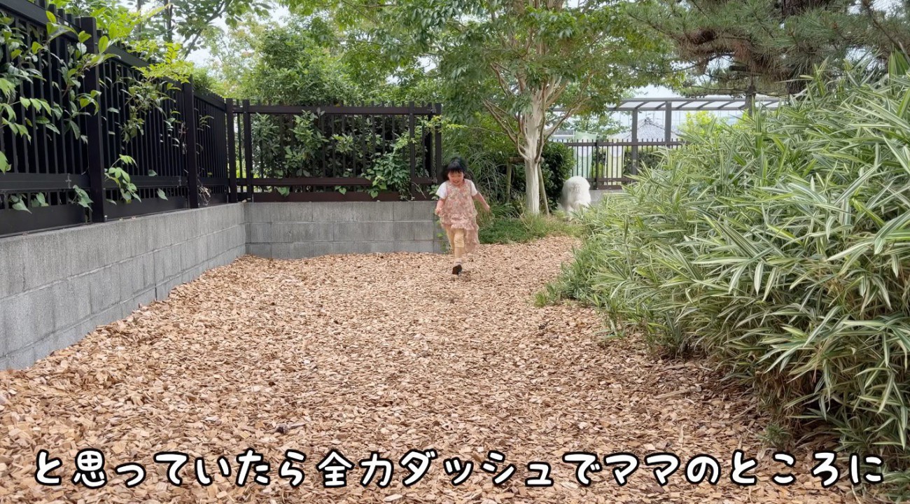 女性に向かって駆けてくる女の子