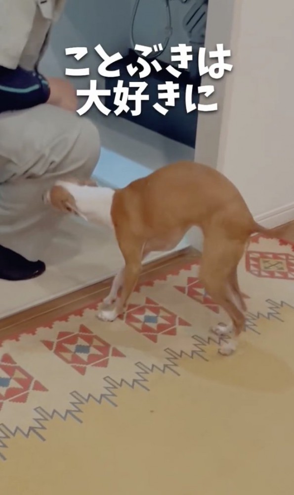 ラブ業者さん！！