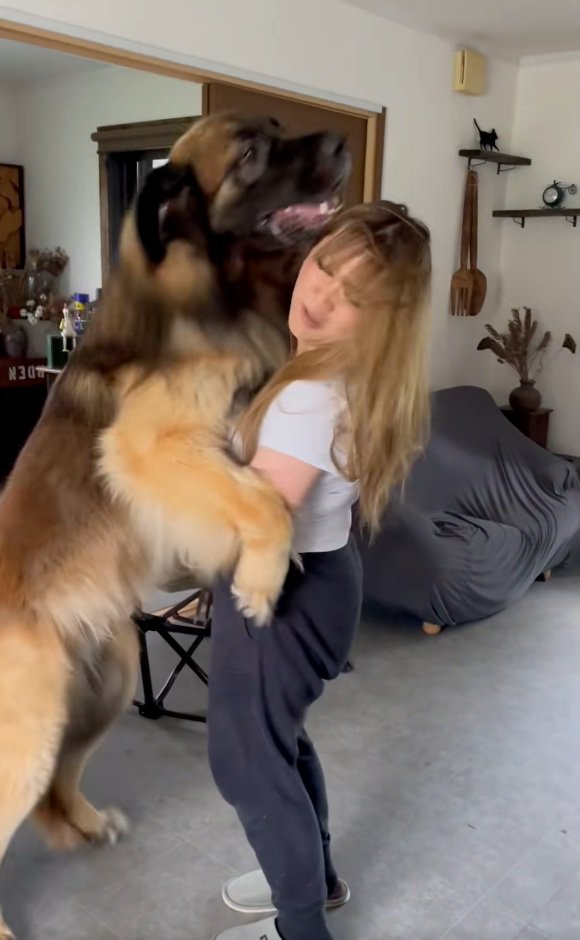 髪が乱れるお姉さん