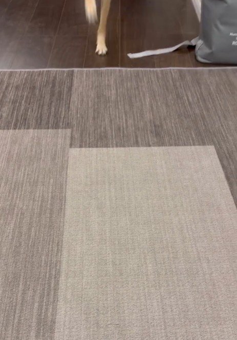 しばらくたつと…