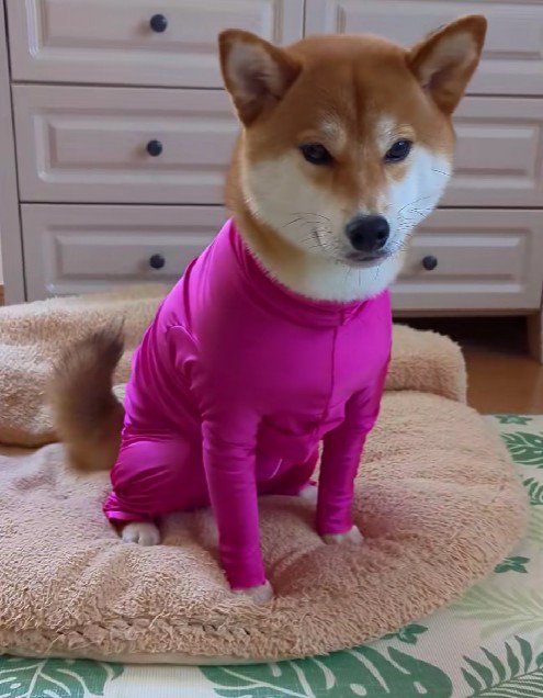 体が細くなっちゃった！！