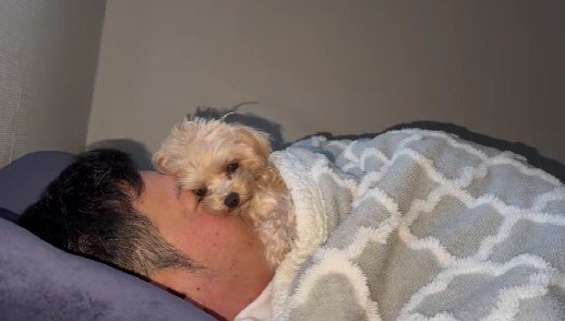 隣で寝ているパパを見たら…