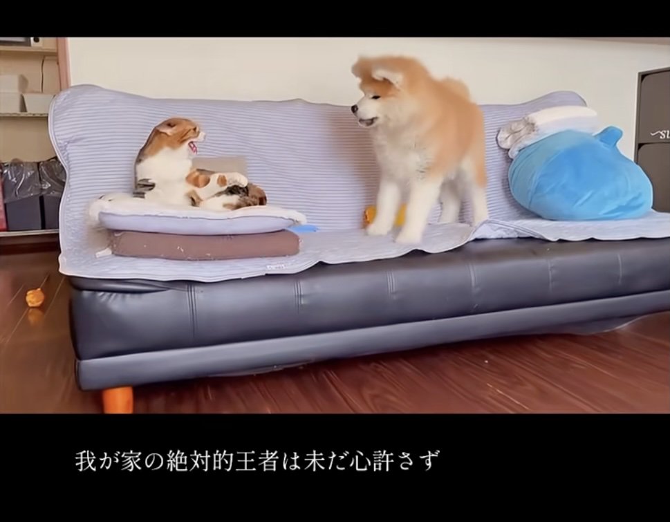 引き続きブチギレ！！