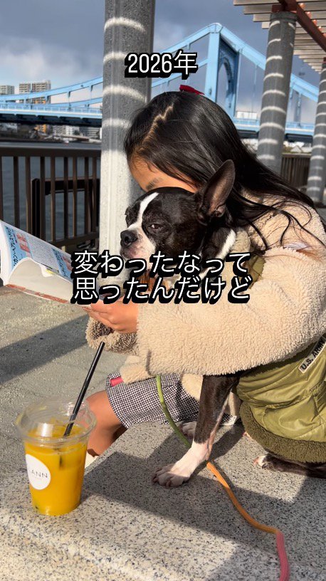 椅子に座って景色を眺める4年後の犬と女の子