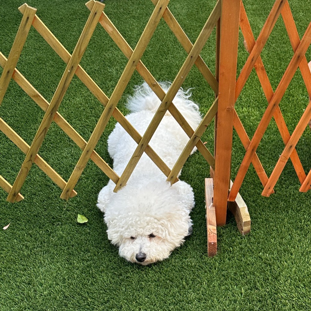 ふて寝