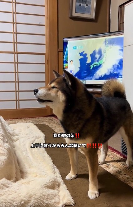 口を開くしゅんくん