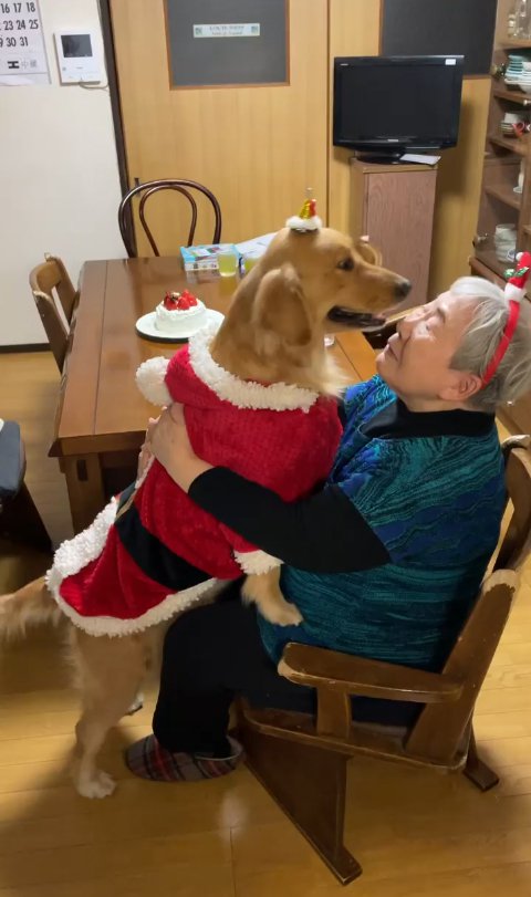 サンタの服を着た大型犬とおばあちゃん