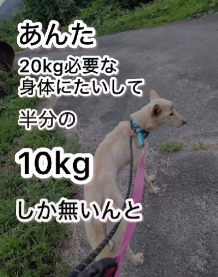 こんなに痩せていたのに…